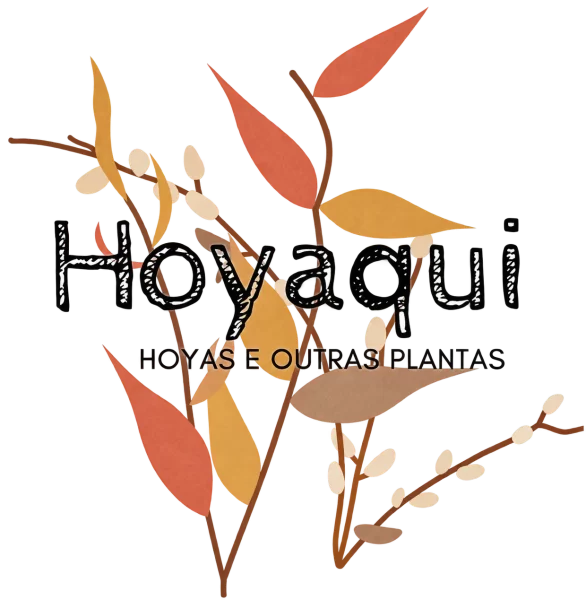 Hoyaqui Logotipo outono