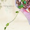 Hoya mamasa