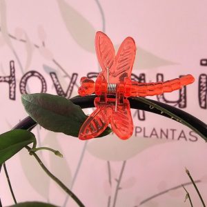 Molas para suporte de plantas - Libelinha (Libélula)