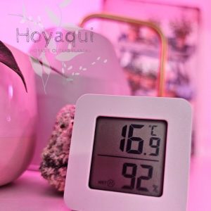 Termómetro/Medidor de Humidade